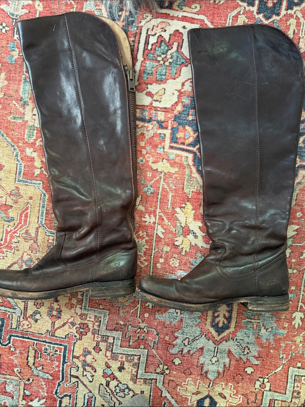 Women's Tall Frye Leather Riding Boots - Dark Brown